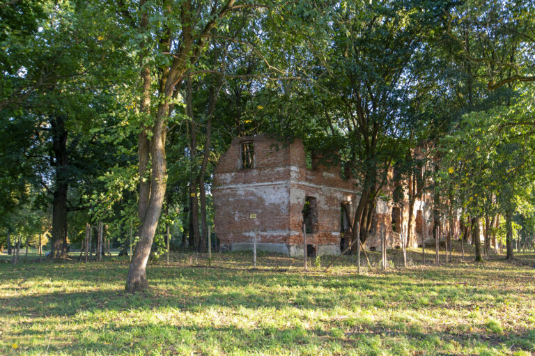 Ruiny pałacu rodziny Łubieńskich z 1. poł. XIX w. oraz park z pomnikowymi drzewami 1