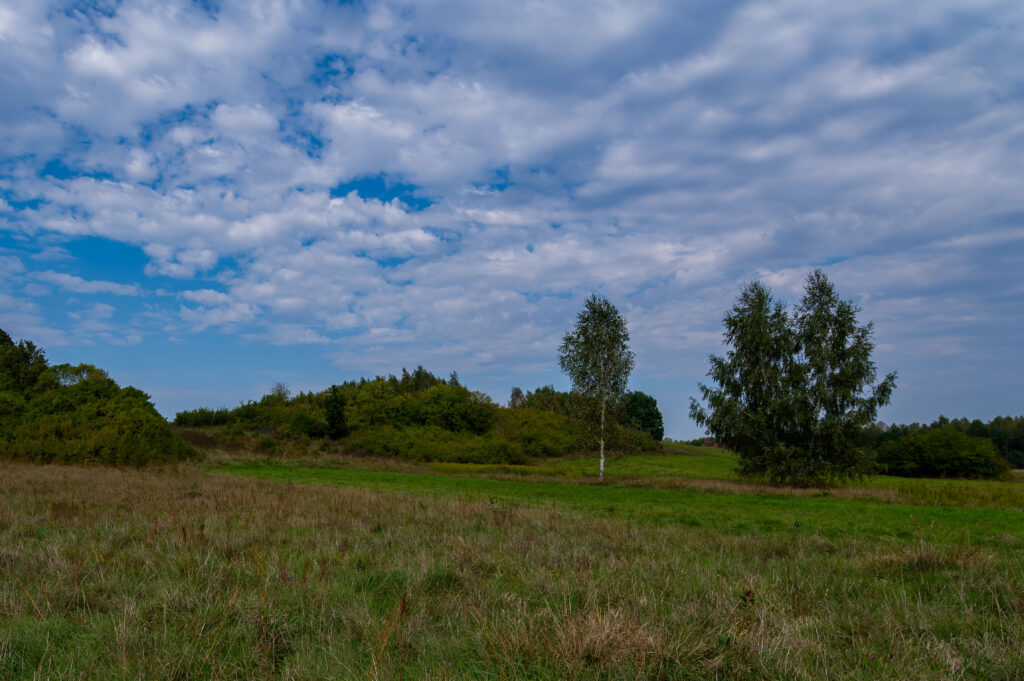 Stanowisko archeologiczne, na które składają się pozostałości po wczesnośredniowiecznym grodzisku 1