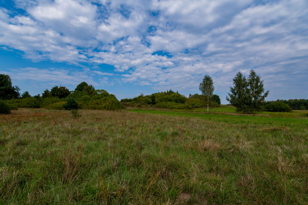 Stanowisko archeologiczne, na które składają się pozostałości po wczesnośredniowiecznym grodzisku