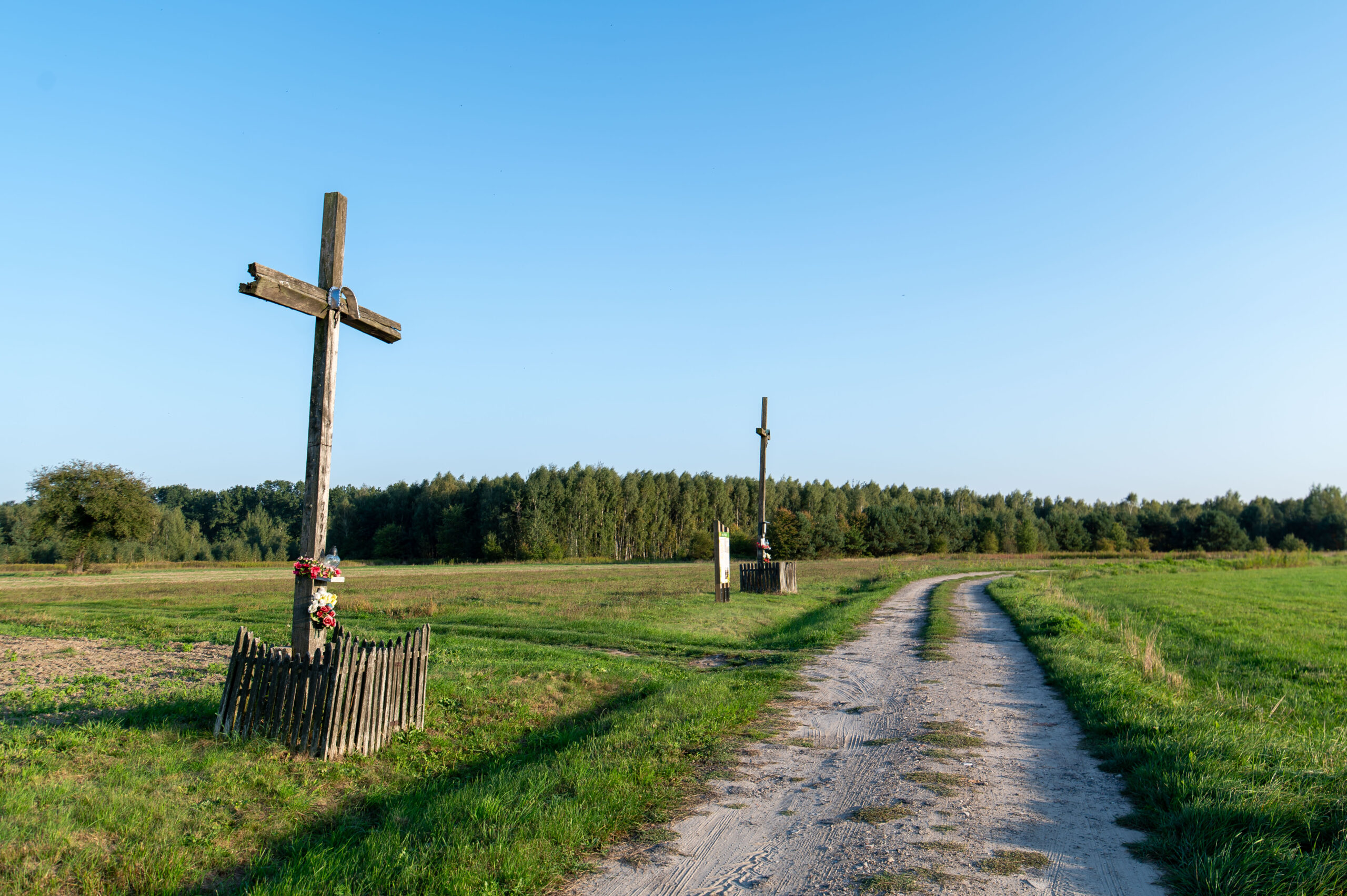 Dwa drewniane krzyże na „Kobzowym Polu”. Mogiła żołnierzy polskich z 2 pułku strzelców pieszych, poległych w potyczce z wojskami rosyjskimi w dniu 18 lutego 1831 r. Zdjęcie