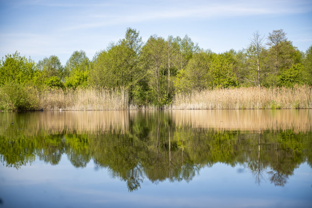 Rezerwat przyrody „Bagno Pogorzel”. 2