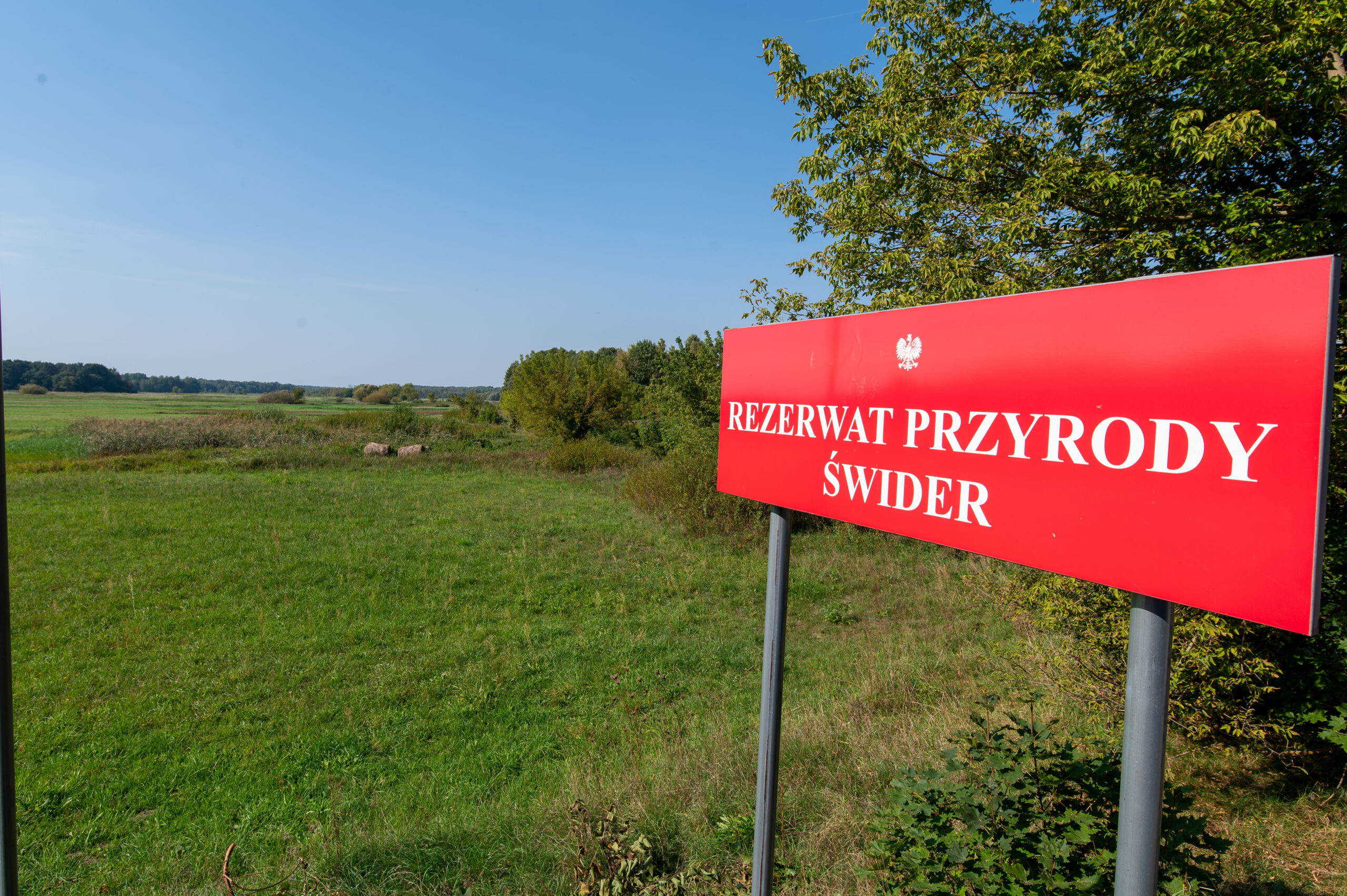 Rezerwat przyrody Świder