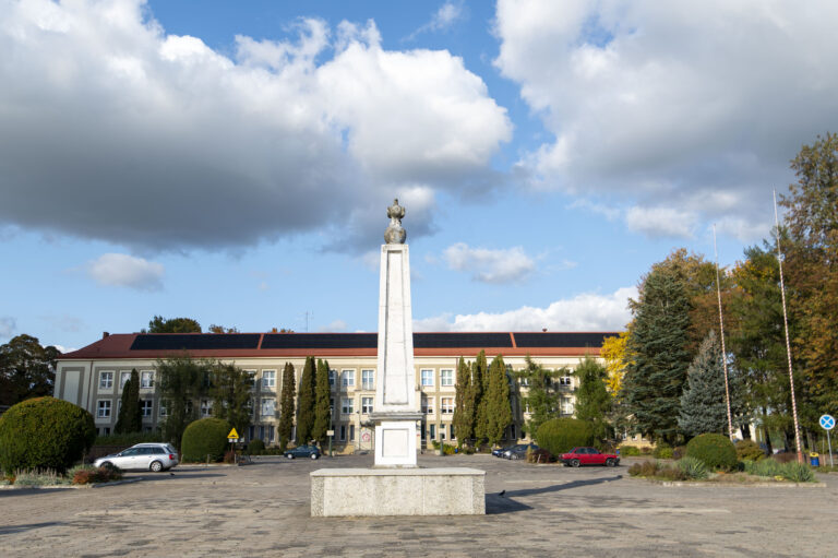 Pomnik - Gołąb Pokoju