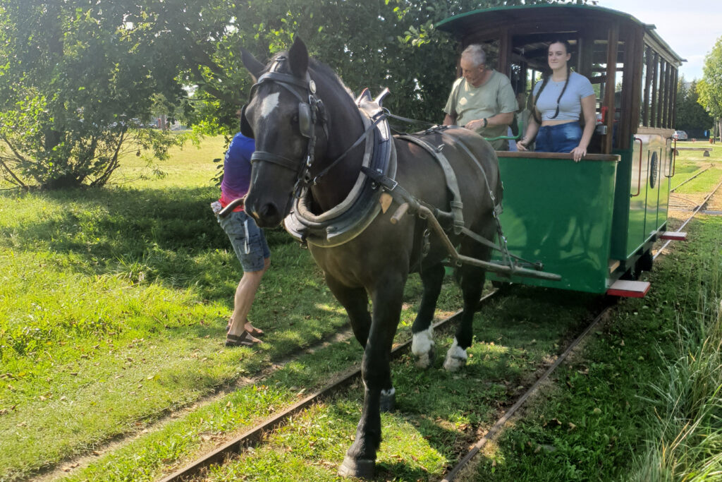 Tramwaj konny w Mrozach