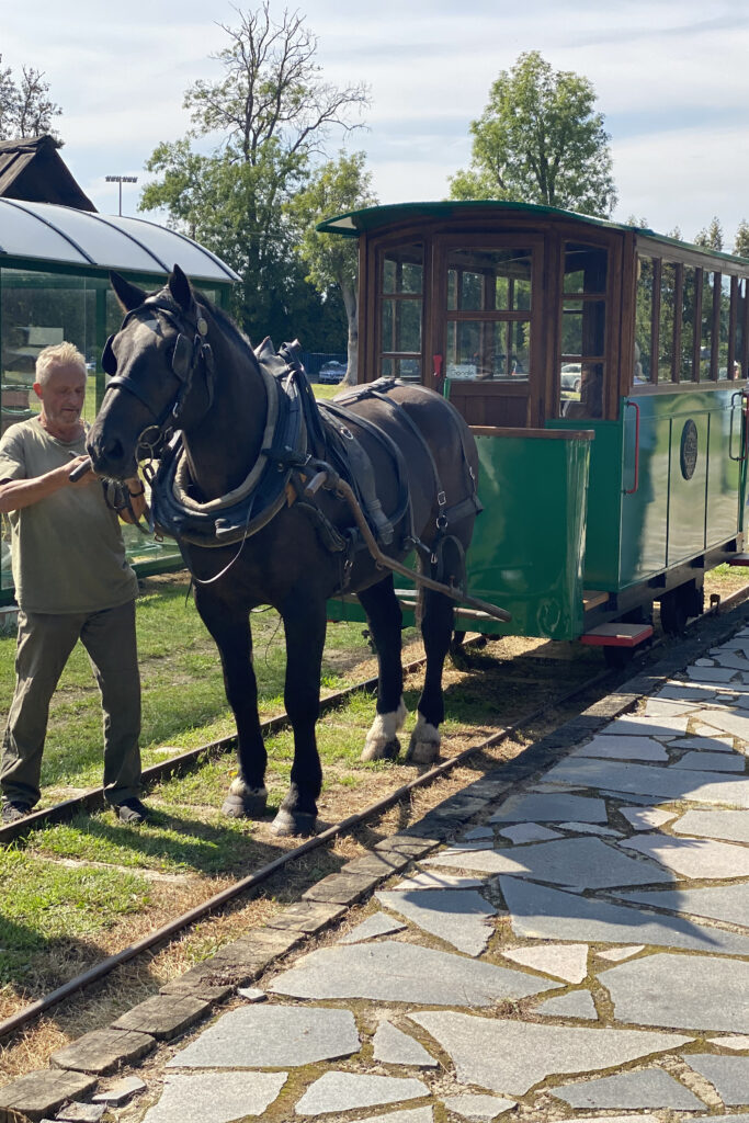 Tramwaj konny w Mrozach 3