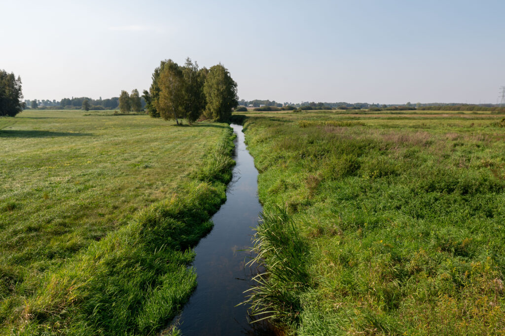 Rzeka Świder i bociani sejmik1