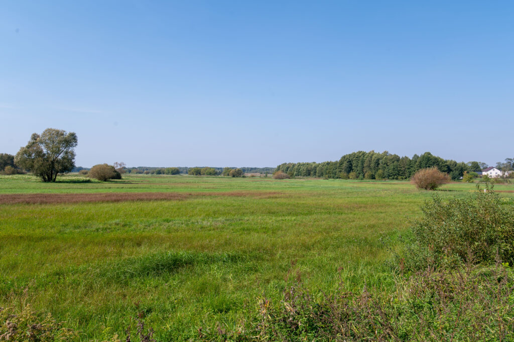 Rzeka Świder z widokiem na rezerwat „Wólczańska Góra”