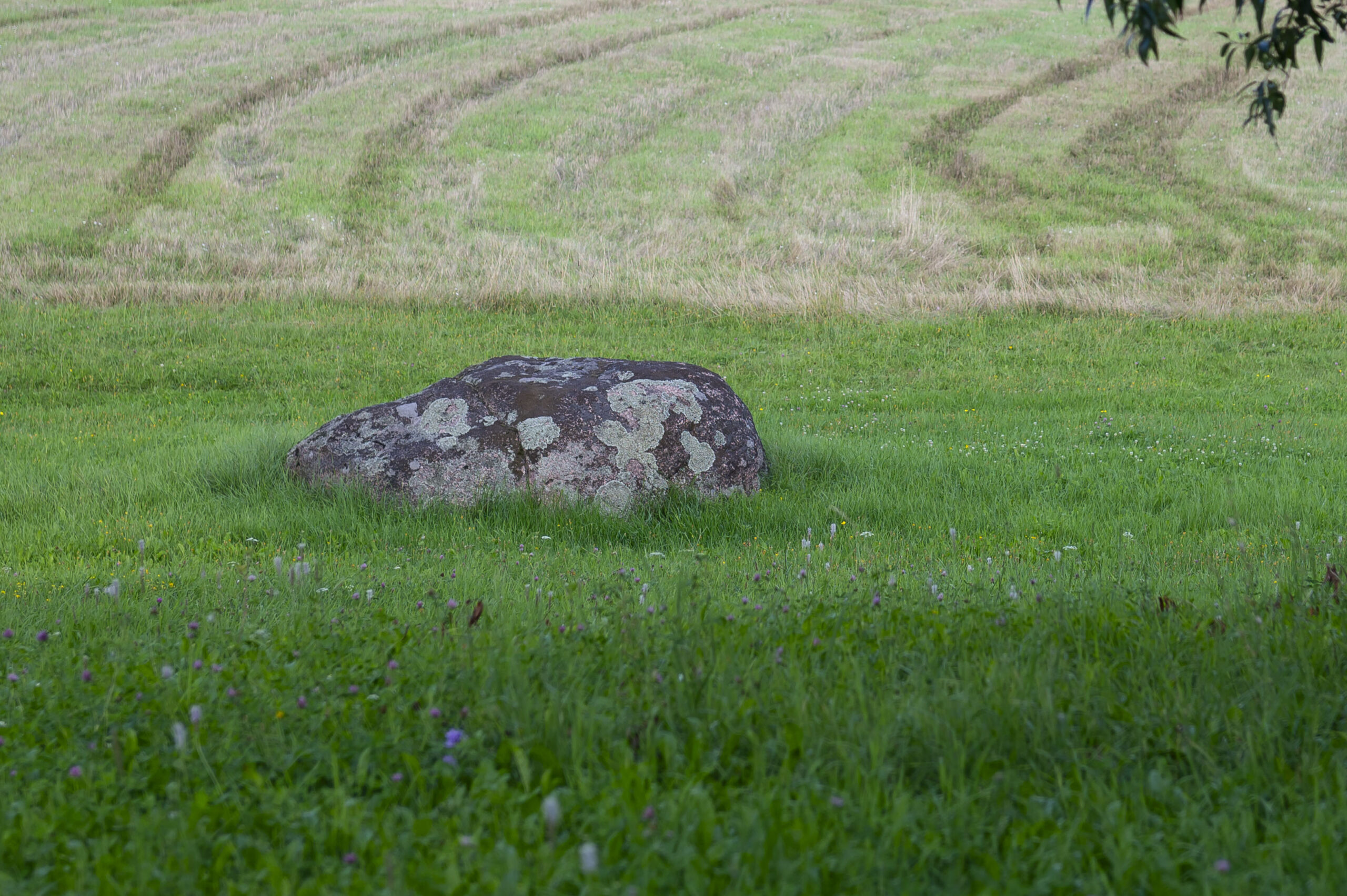 Głaz narzutowy – granit różowy 1